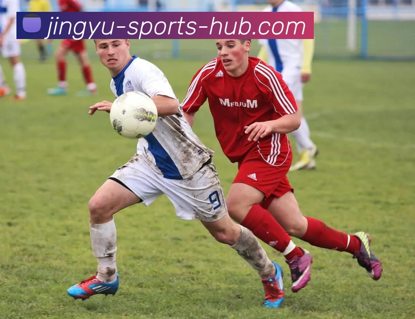 鲸鱼体育服务体系